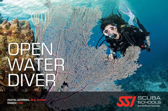 Open Water Diver OWD