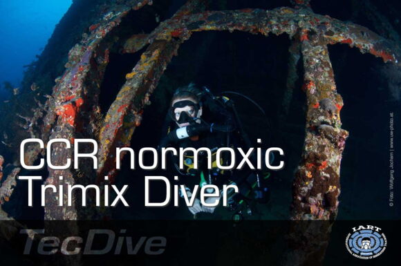 normoxic Trimix Diver